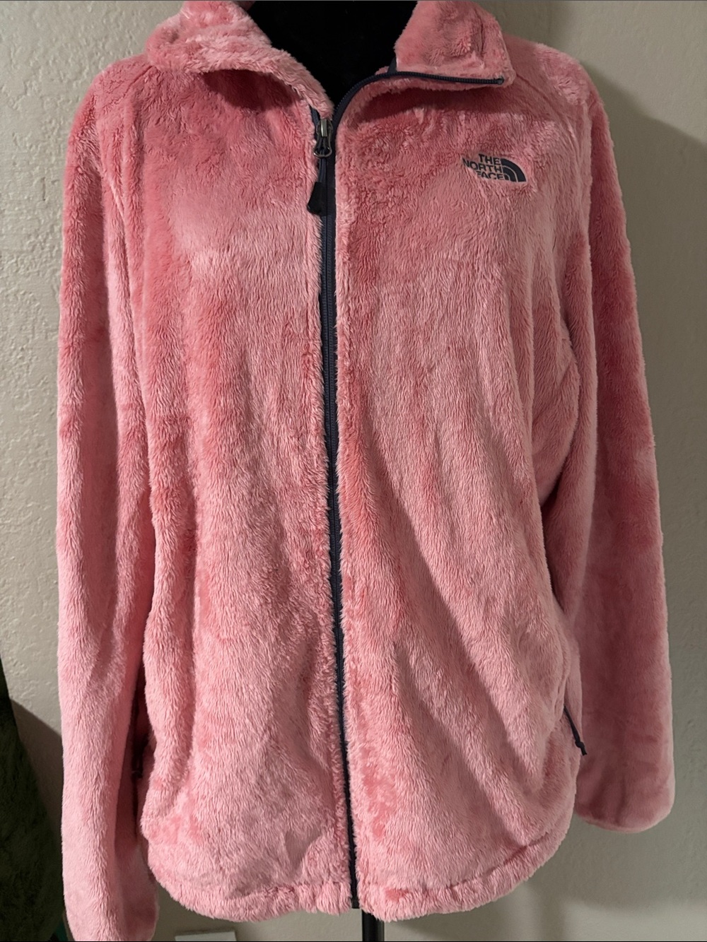 The North Face Pink Plush Full-Zip Teddy Jacket